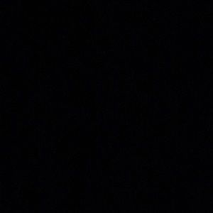 Meet your Posher, Bella